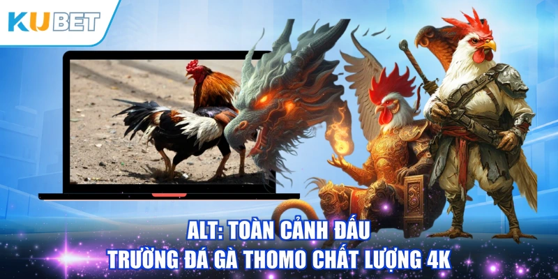 ALT: Toàn cảnh đấu trường Đá gà thomo chất lượng 4K